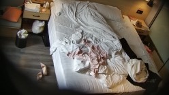 预览图5