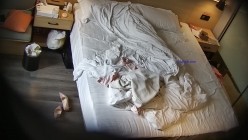 预览图8