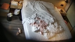 预览图14