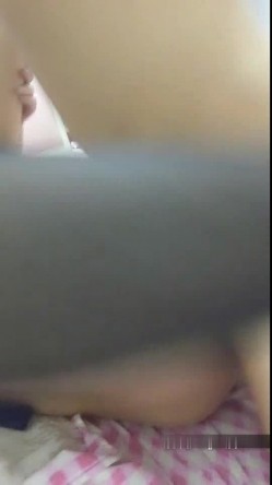预览图13