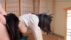 预览图12