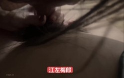 预览图4