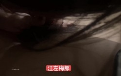 预览图5