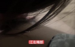 预览图10