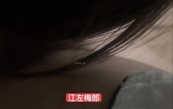 预览图12