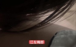 预览图13