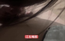 预览图14