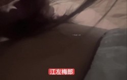 预览图15