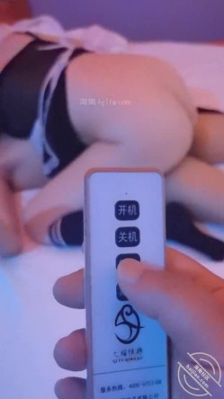 预览图6