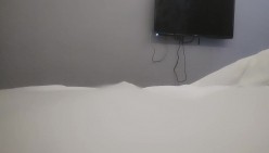 预览图4
