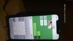 预览图11