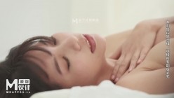 预览图13