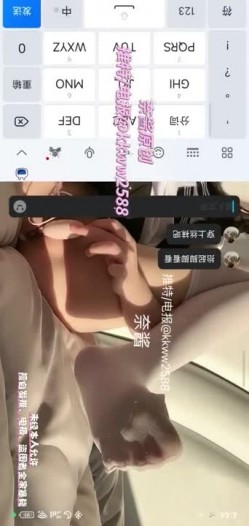 预览图16