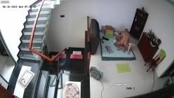预览图2