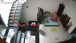 预览图4