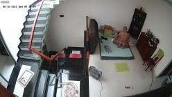 预览图5