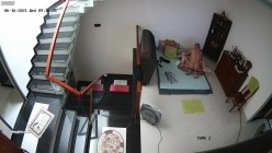预览图8