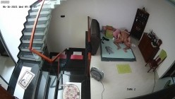 预览图13