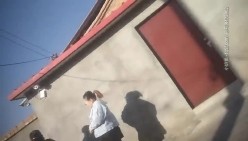 预览图5