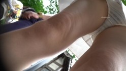 预览图14