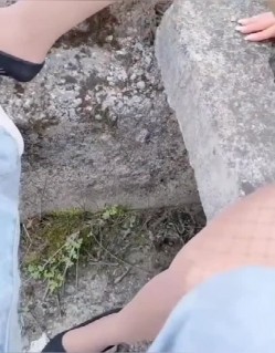 预览图6