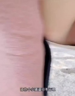 预览图8