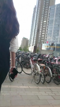 预览图12