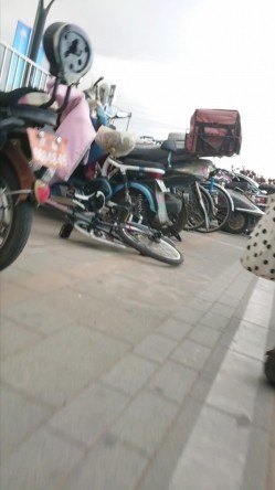 预览图13