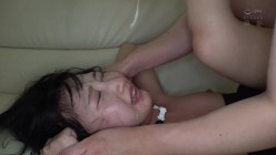 预览图13