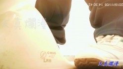 预览图12