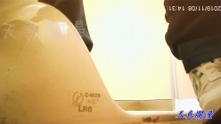 预览图14