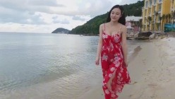 预览图2