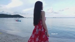 预览图7
