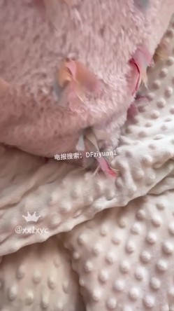 预览图8