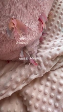 预览图9