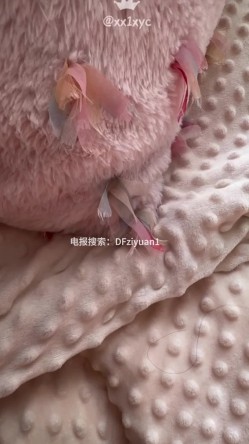 预览图10