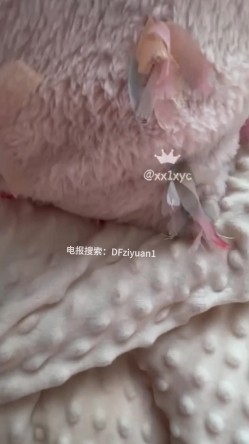 预览图11