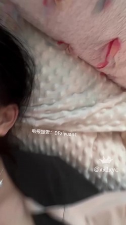 预览图12