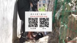 预览图13