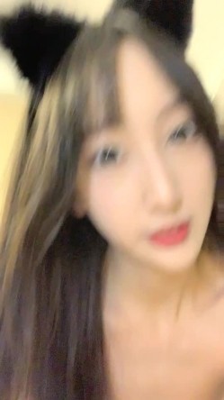 预览图4