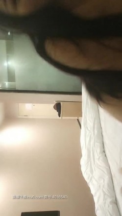 预览图5