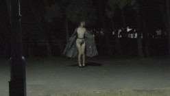 预览图1