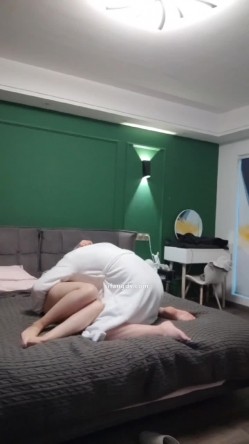 预览图4