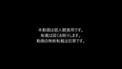 预览图14