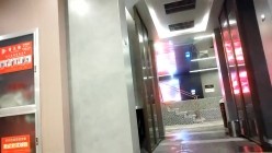 预览图4