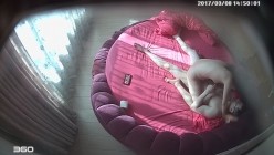 预览图16