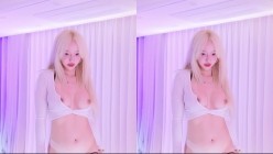 预览图4