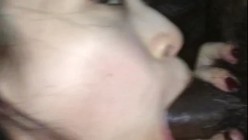 预览图14