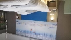 预览图8