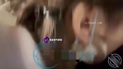 预览图5